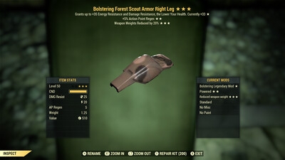 Bolstering AP WWR F Scout RL