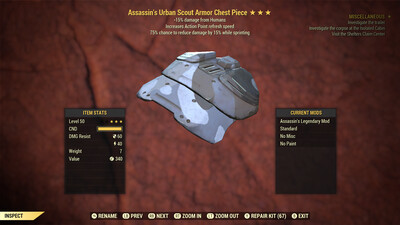 Assassins AP Cavalier U Scout Chest