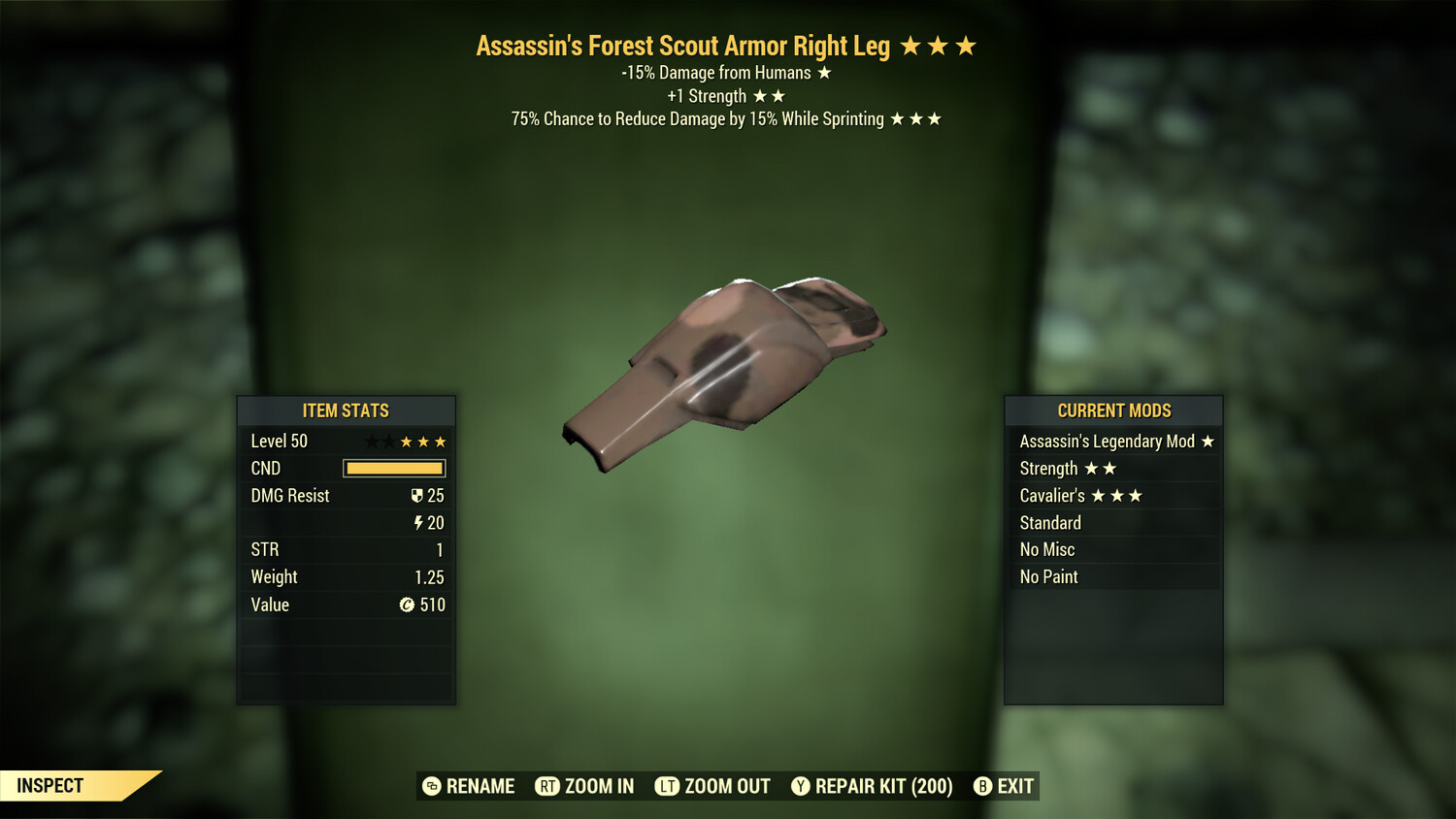 Assassins 1S Cavalier F Scout RL
