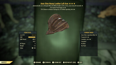 Auto Stim AP Cavalier Leather LA