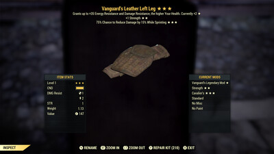 Vanguard 1S Cavalier Leather LL Lvl 1