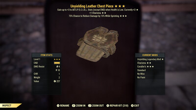 Unyielding 1C Cavalier Leather Chest Lvl 1