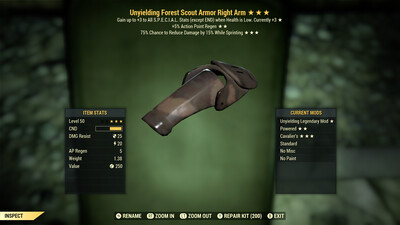 Unyielding AP Cavalier F Scout RA