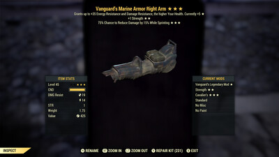 Vanguard 1S Cavalier Marine RA