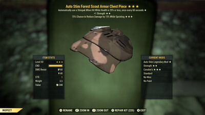 Auto Stim Intel Cavalier F Scout Chest