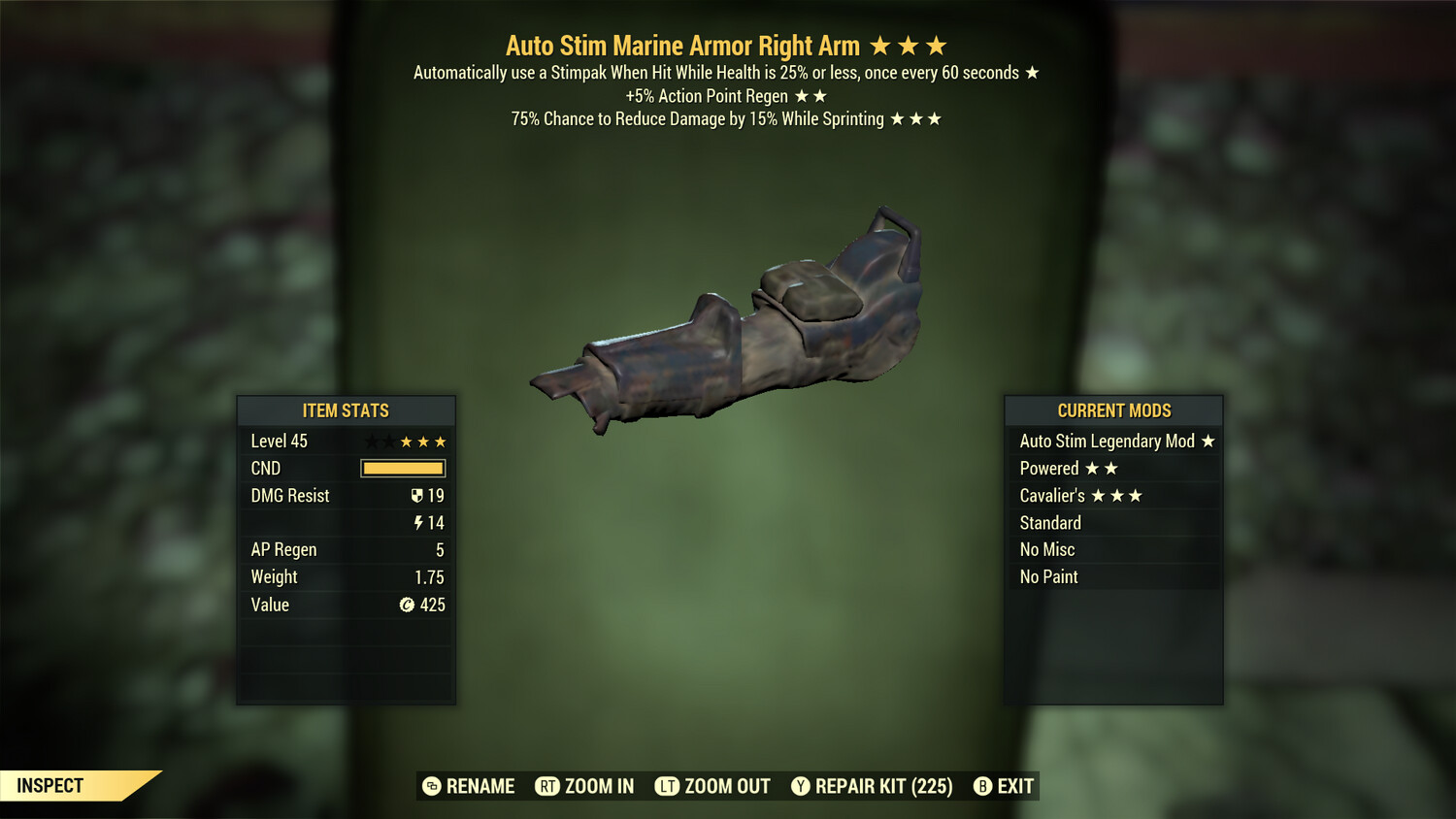 Auto Stim AP Cavalier Marine RA
