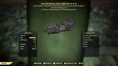 Auto Stim AP Cavalier Marine RA