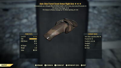 Auto Stim AP Cavalier F Scout RA