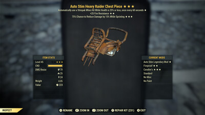 Autostim FR Cavalier Raider Chest