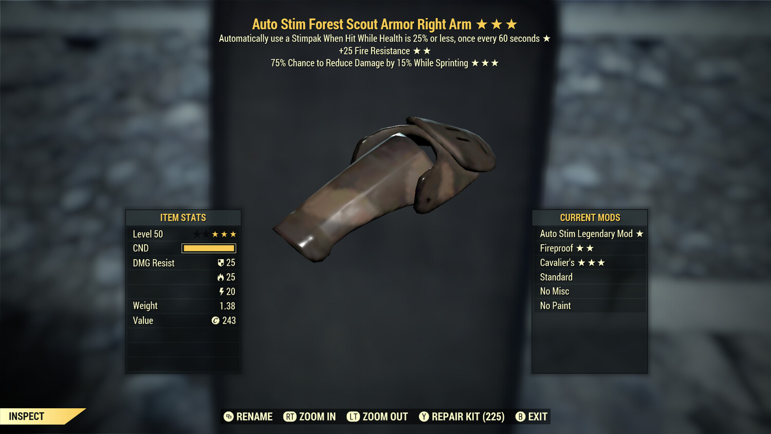 Autostim FR Cavalier F Scout RA