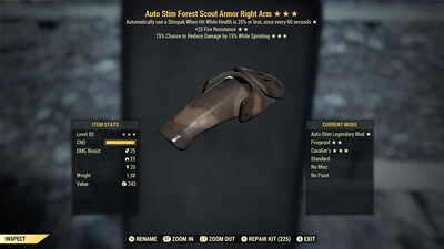 Autostim FR Cavalier F Scout RA