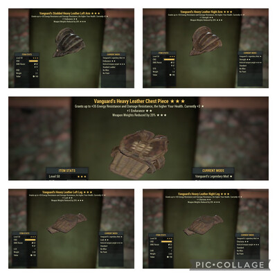 Vanguard WWR Leather Set