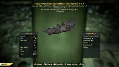 Vanguard Intel Sentinel Marine RA