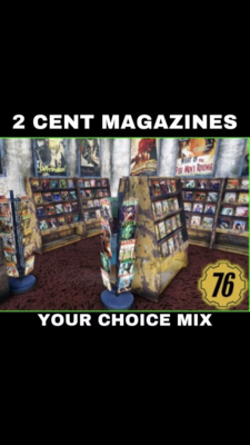 Magazines X500