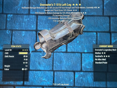 Overeaters Hunger Sentinel T51 LL