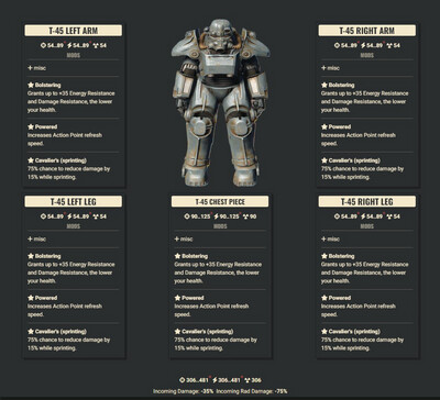 Bolstering AP Cavalier T45 Full Set