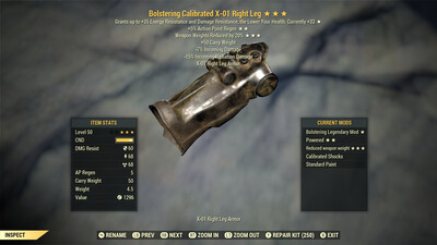 Bolstering AP WWR X01 RL