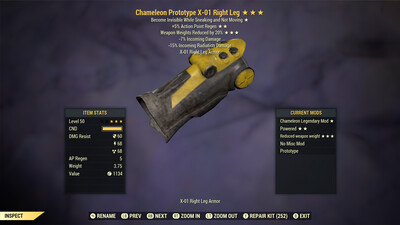 Chameleon AP WWR X01 RL