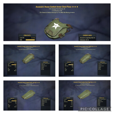 Assassins Sentinel Combat Set