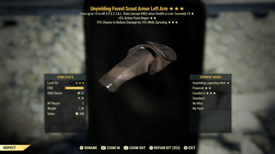 Unyielding AP Cavalier F Scout LA