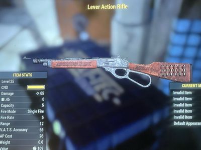 NW Lever Action Rifle