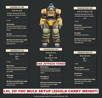 Aid/FDC Weight Reduction Mule Lvl 25 Character Excavator Set (Carry 2000lbs)