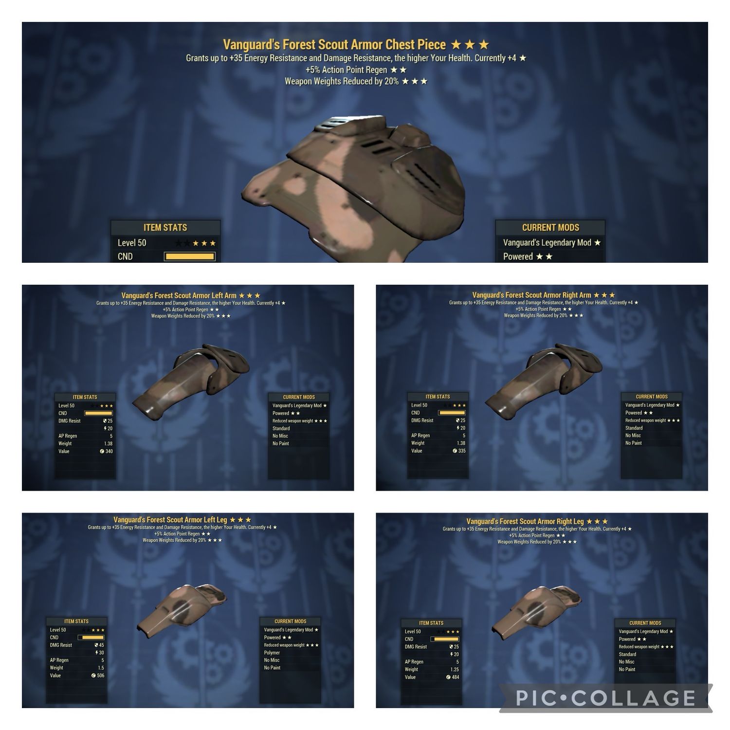 Vanguard AP WWR Forest Scout Set