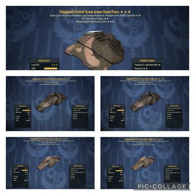 Vanguard AP WWR Forest Scout Set