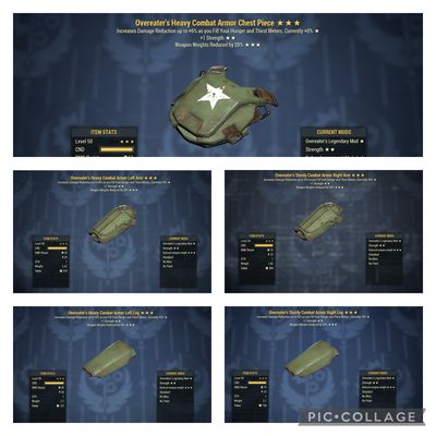 Overeaters 1S WWR Combat Set