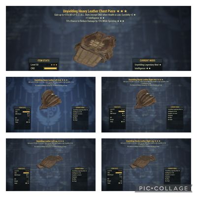 Unyielding Intel Cavalier Leather Set