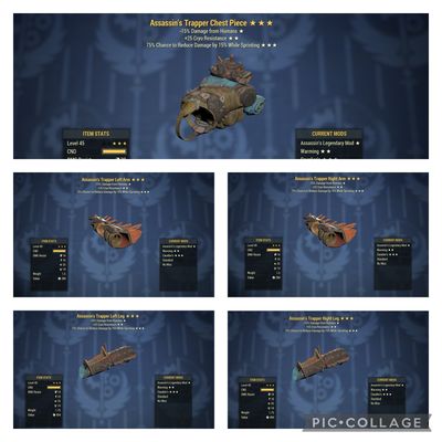 Assassins Cryo Cavalier Trapper Set