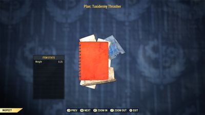 Taxidermy Thrasher