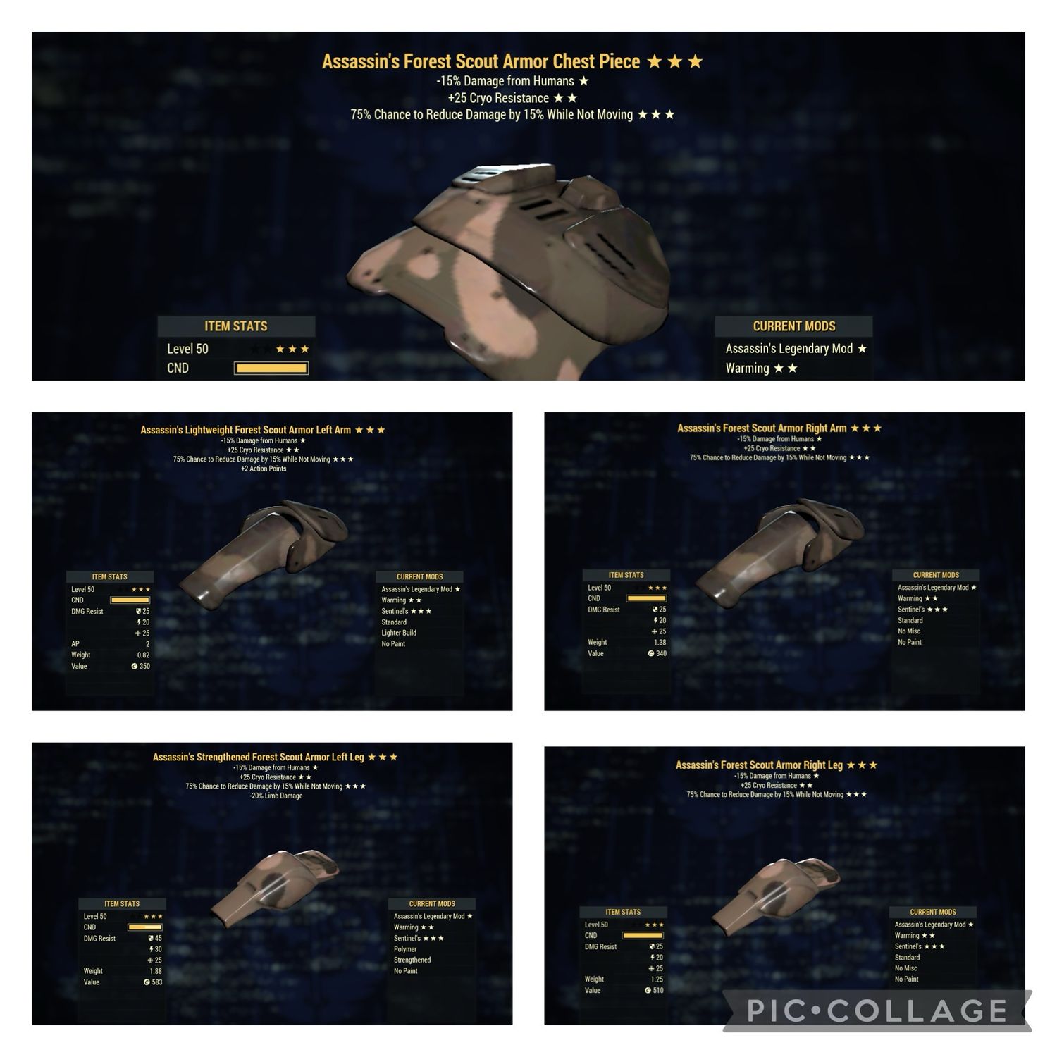 Assassins Cryo Sentinel Forest Scout Set (pvp God Set)