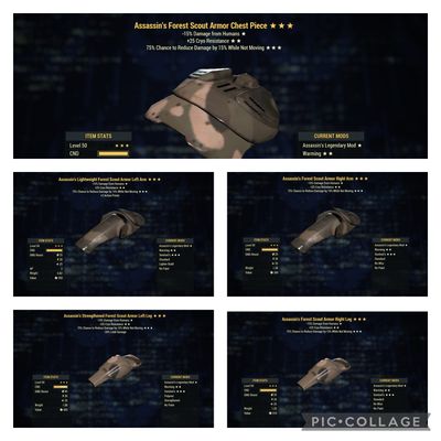 Assassins Cryo Sentinel Forest Scout Set (pvp God Set)