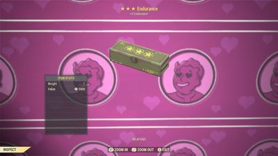 Endurance Perk Mod Box
