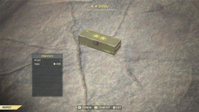 Steady Perk Mod Box