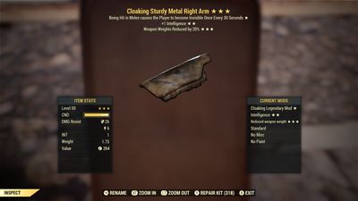 Cloaking 1int WWR Metal RA