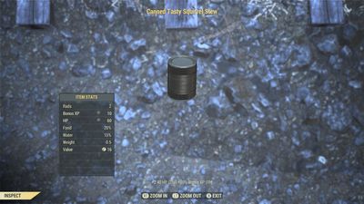 Canned Tasty Squirrel Stew ( Xp Buff) X25