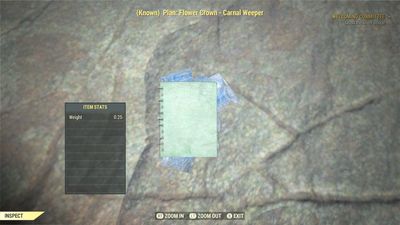 Flower Crown: Carnal Weeper