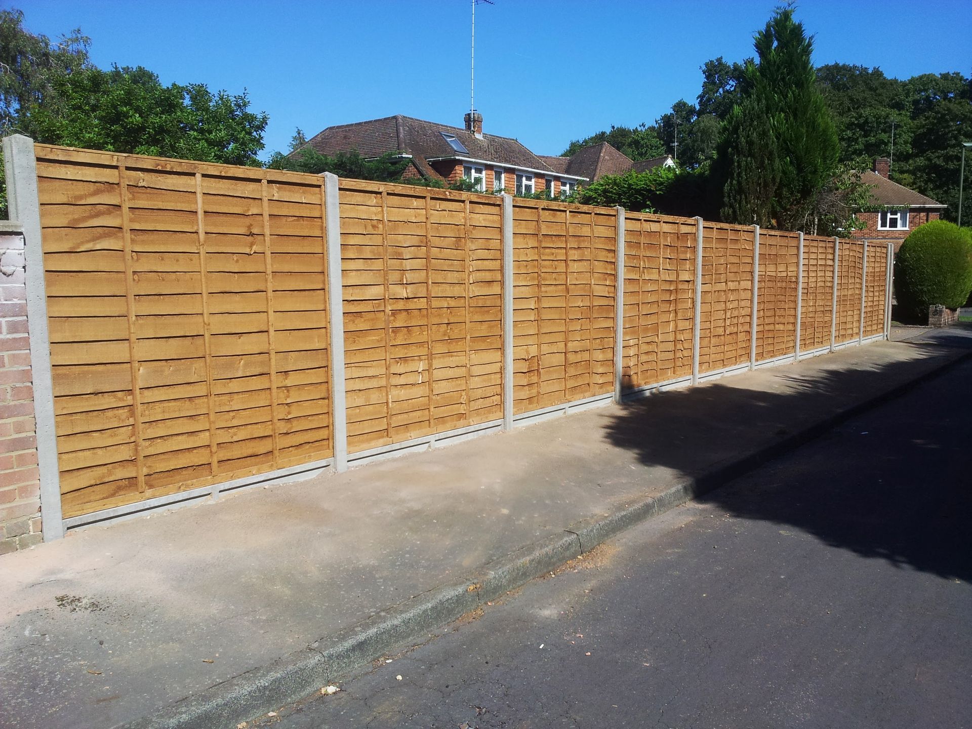Larch Lap Panel
