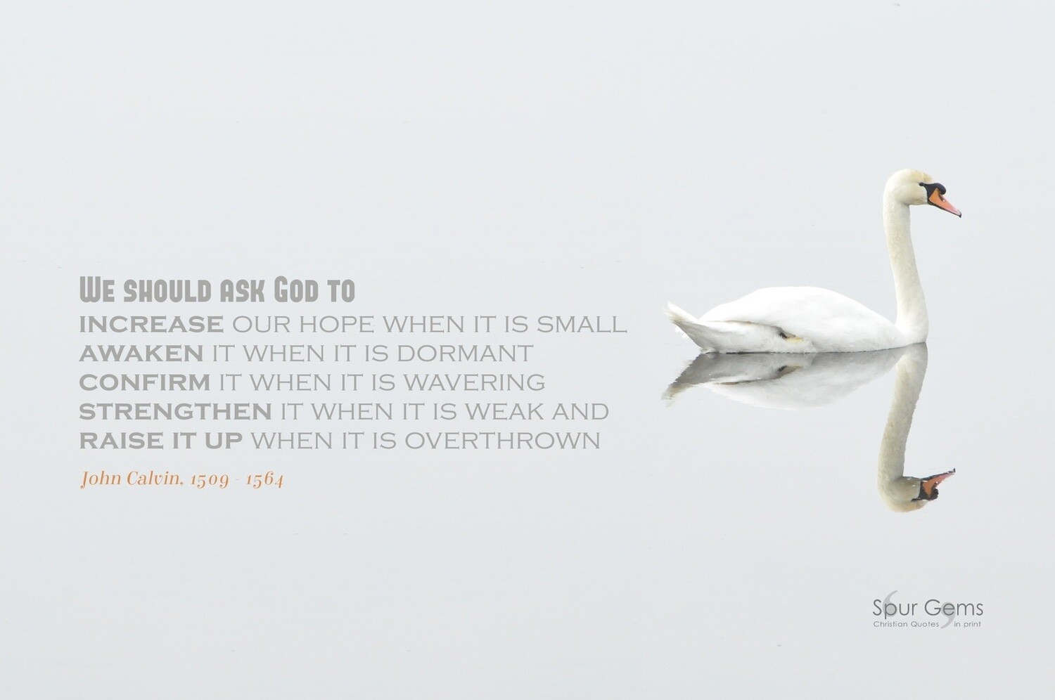 Ask God - John Calvin