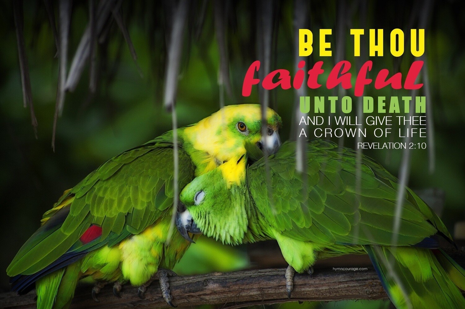 Be Thou Faithful