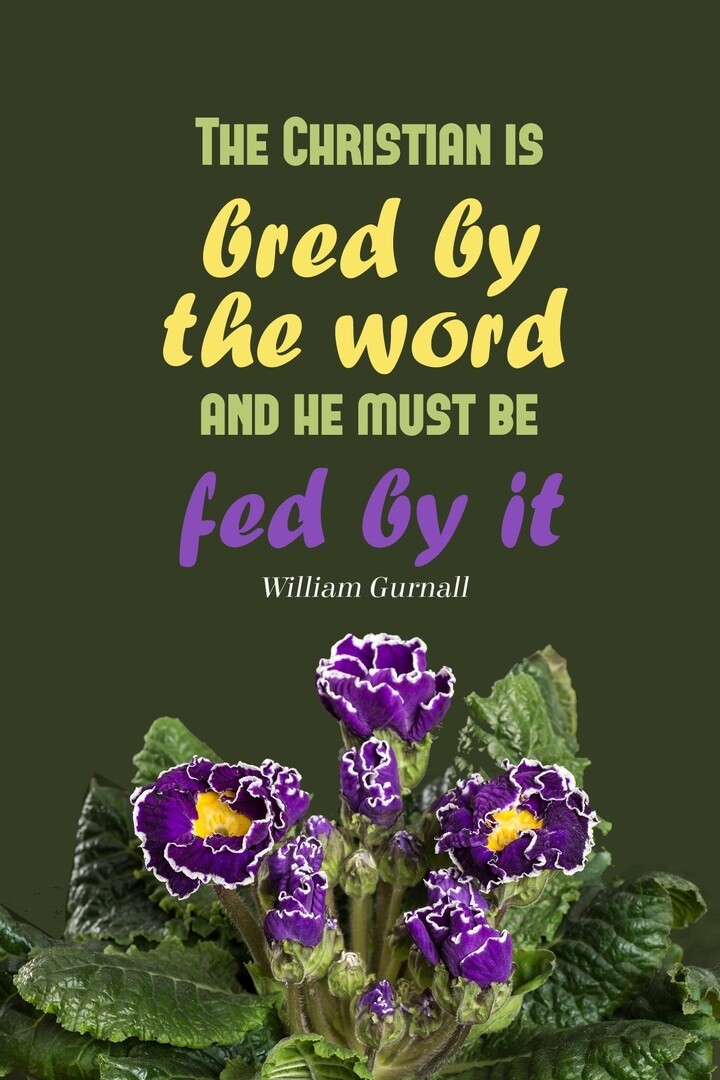 *Bred by the Word - William Gurnall