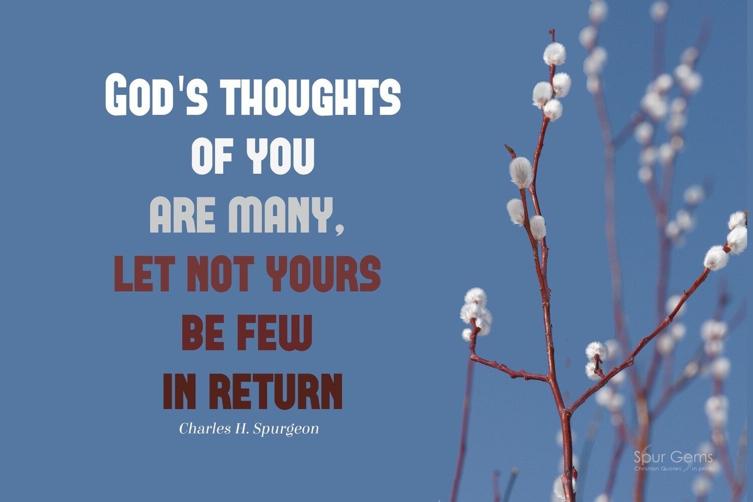 *God&#39;s Thoughts - C H Spurgeon