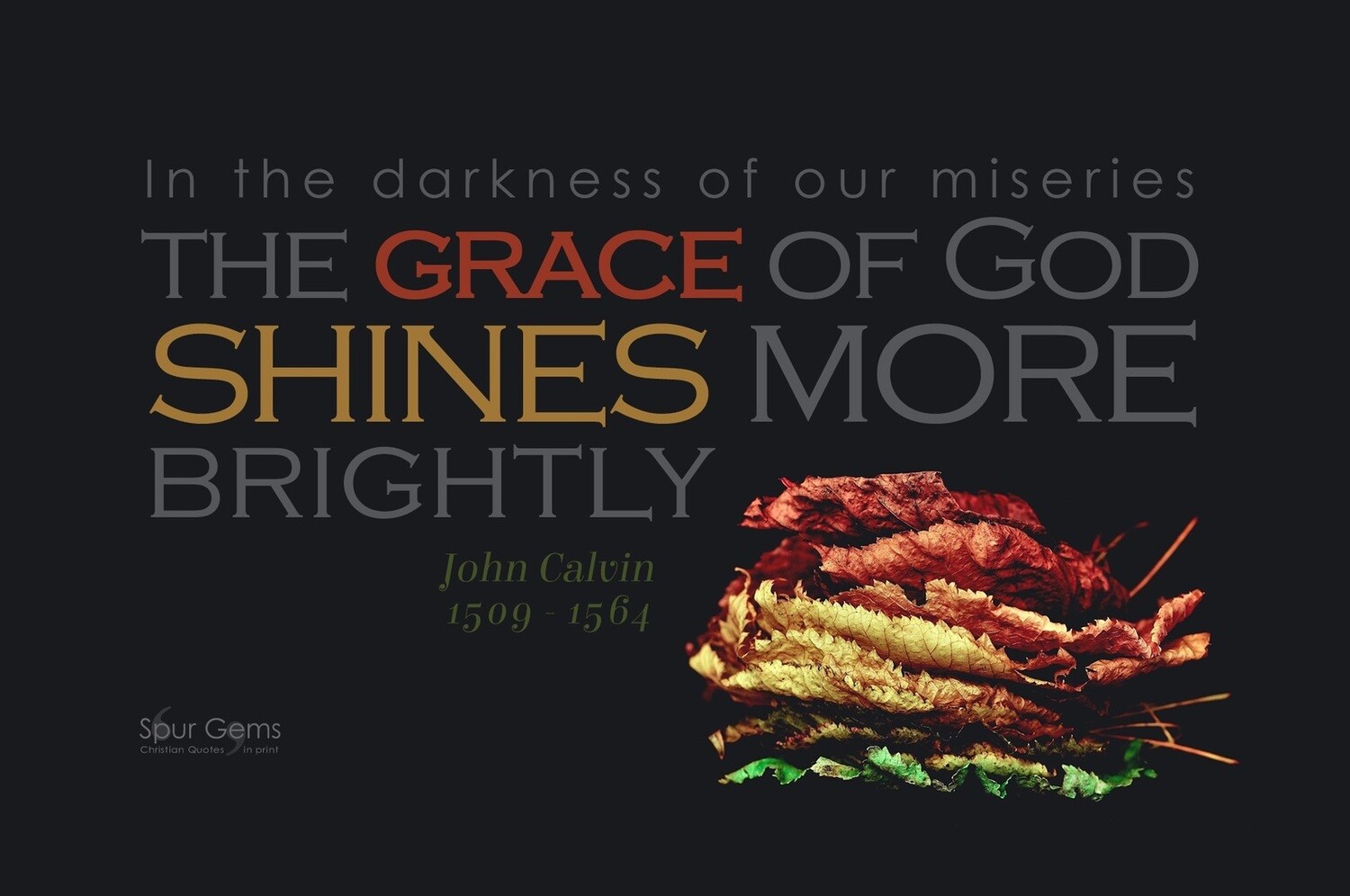 *Grace Shines - John Calvin