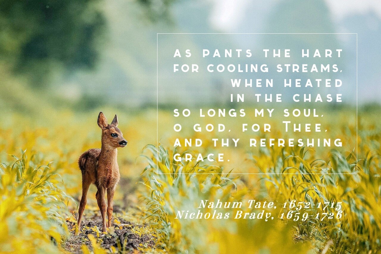 As pants the hart vs 1