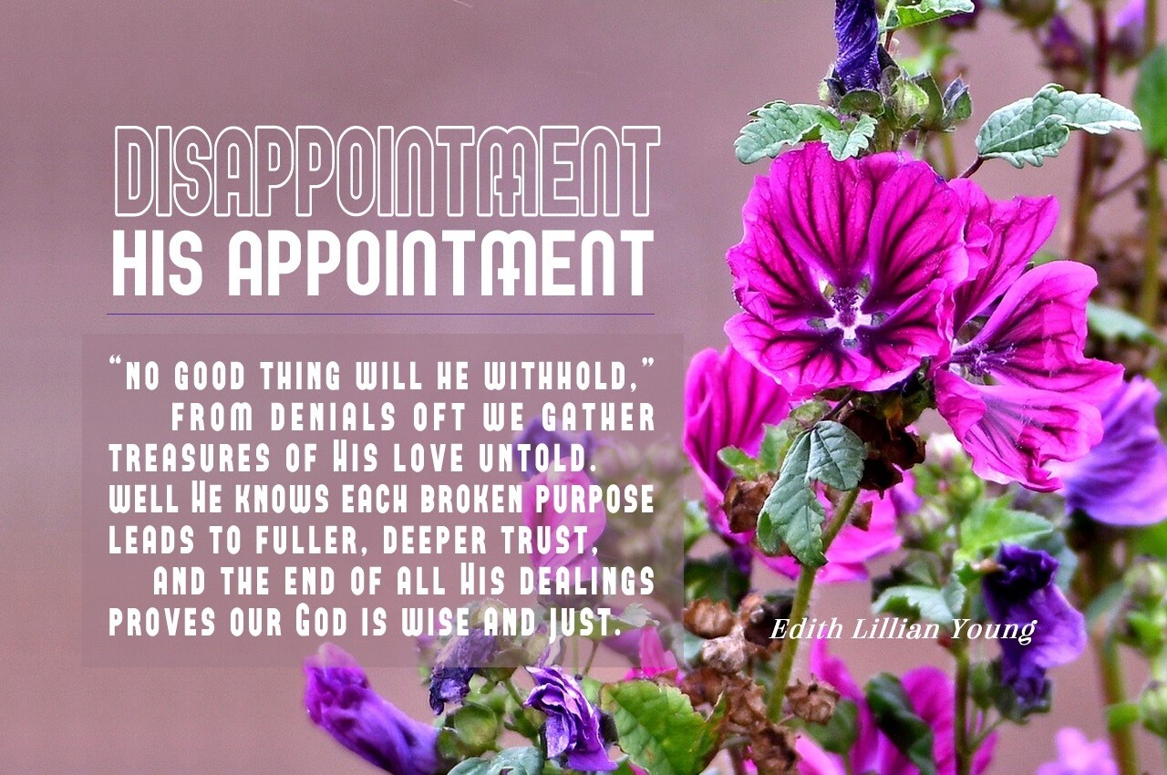 *Disappointment - His Appointment vs 3