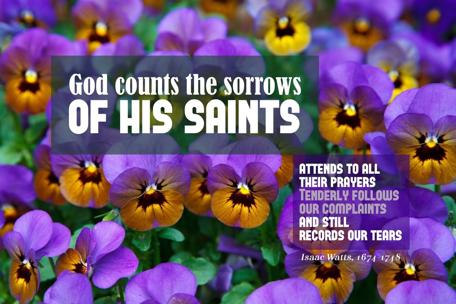 God Counts the Sorrows vs 1