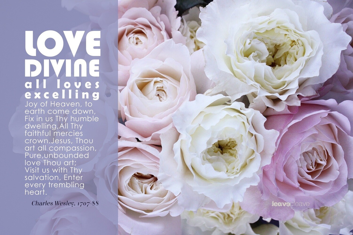 *Love Divine vs 1