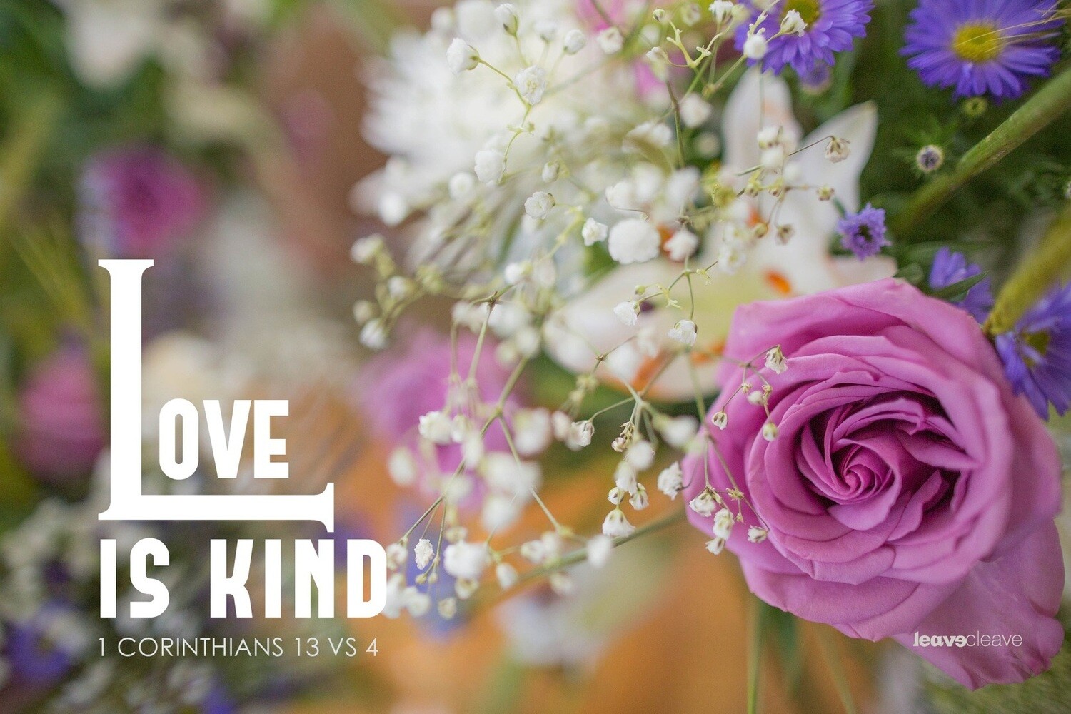 *Love is Kind